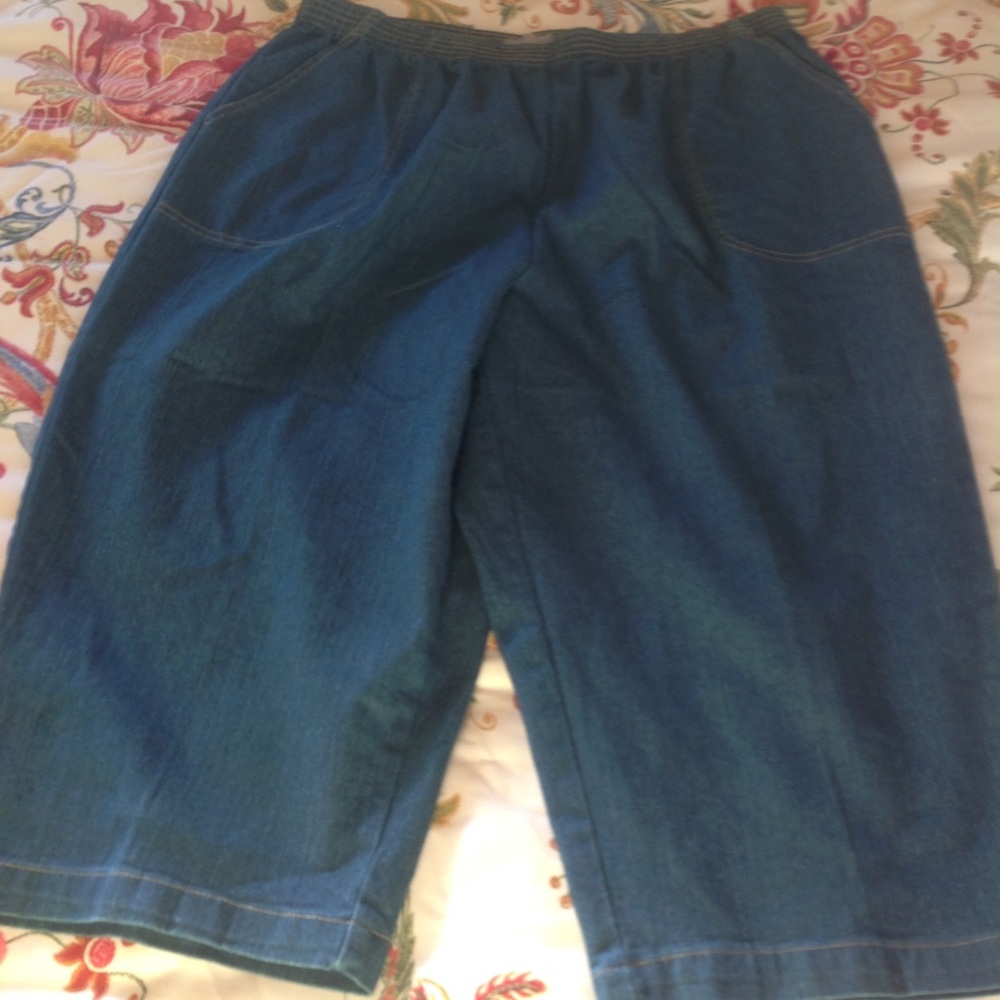 Laura Scott Woman, 18W, denim capri’s